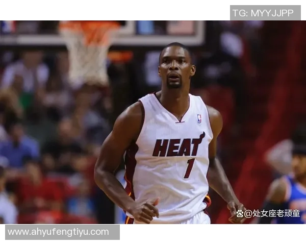 波什绝杀热火逆转猛龙精彩瞬间回顾与赛后分析