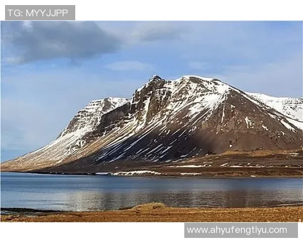 冰岛与加纳精彩对决比分直播全程跟踪分析与实时更新