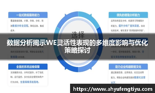 数据分析揭示WE灵活性表现的多维度影响与优化策略探讨