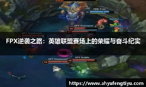 jn体育官方