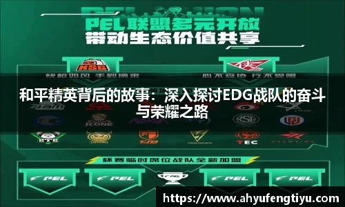 JN江南·体育网页版