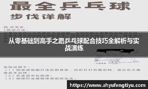 从零基础到高手之路乒乓球配合技巧全解析与实战演练