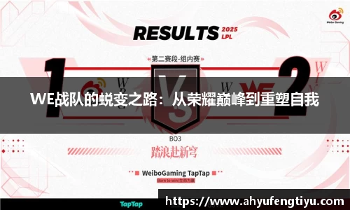 WE战队的蜕变之路：从荣耀巅峰到重塑自我