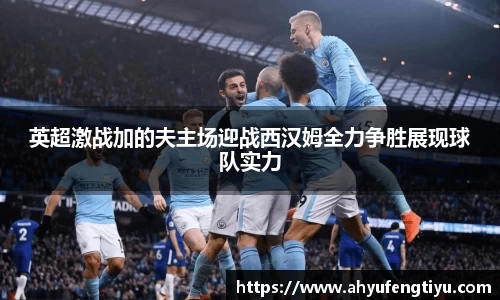 英超激战加的夫主场迎战西汉姆全力争胜展现球队实力