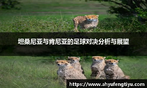 坦桑尼亚与肯尼亚的足球对决分析与展望