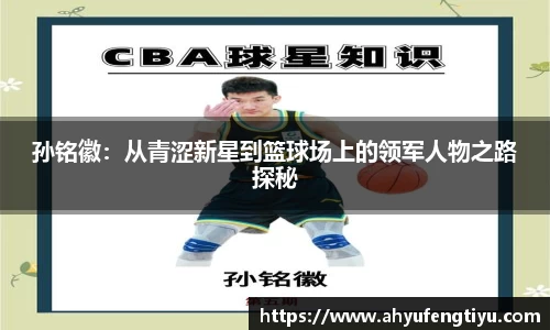 星空电子首页网站