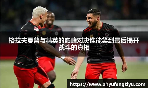 格拉夫夏普与精英的巅峰对决谁能笑到最后揭开战斗的真相
