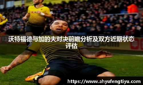 星空平台官网